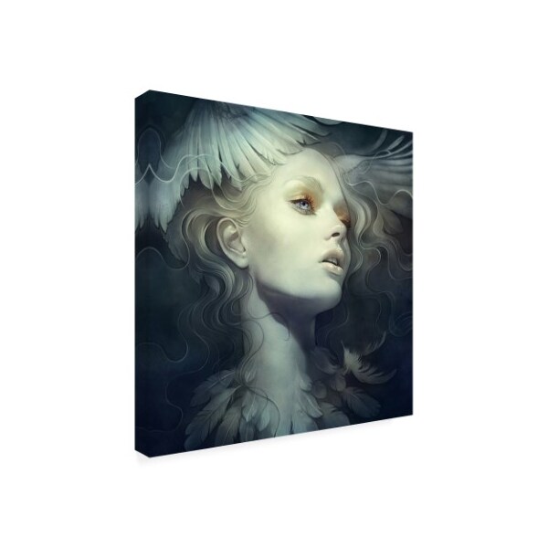 Anna Dittman 'Fly Wings' Canvas Art,24x24